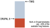 A bar graph showing Drupal 8 templates use ~30% of available Twig features.