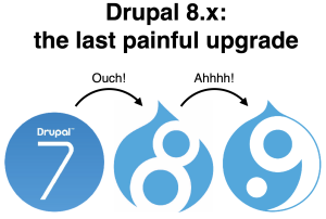 Drupal 8.x: the last painful upgrade. D7 to D8: Ouch! D8 to D9: Ahhhh!